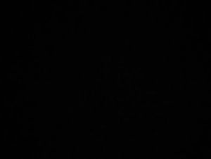 Meet your Posher, Noe